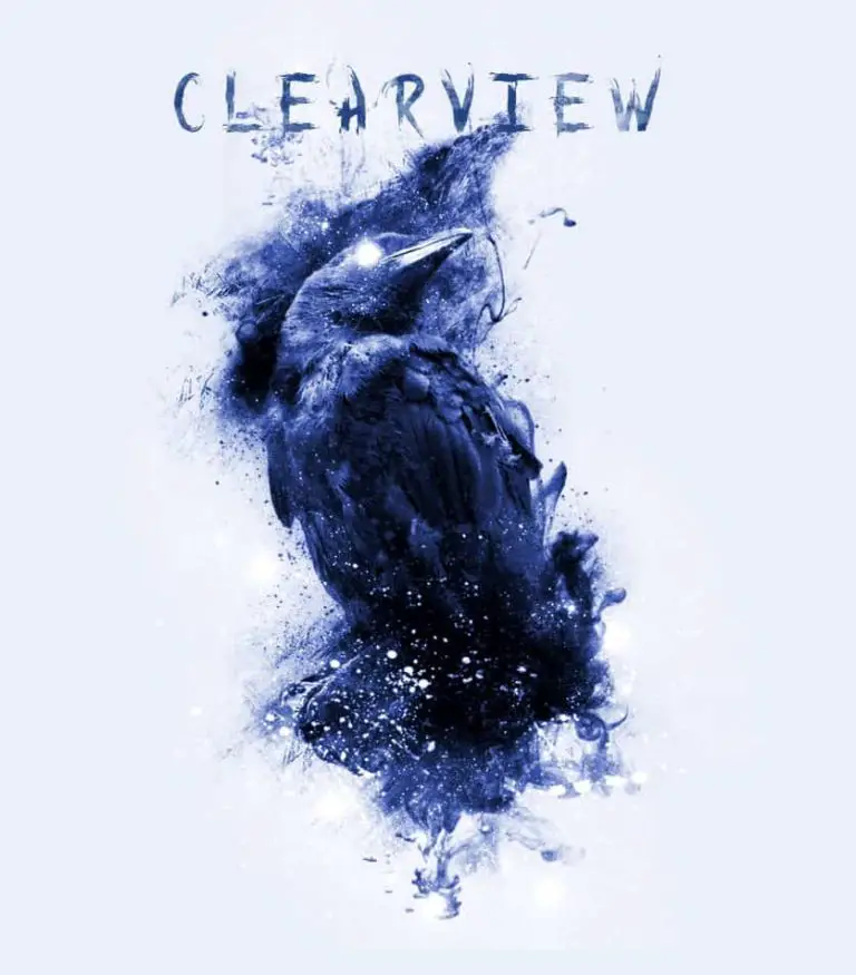 Clearview Interview