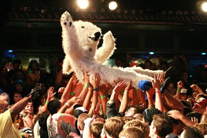 The Maxies Bi Polar Bear