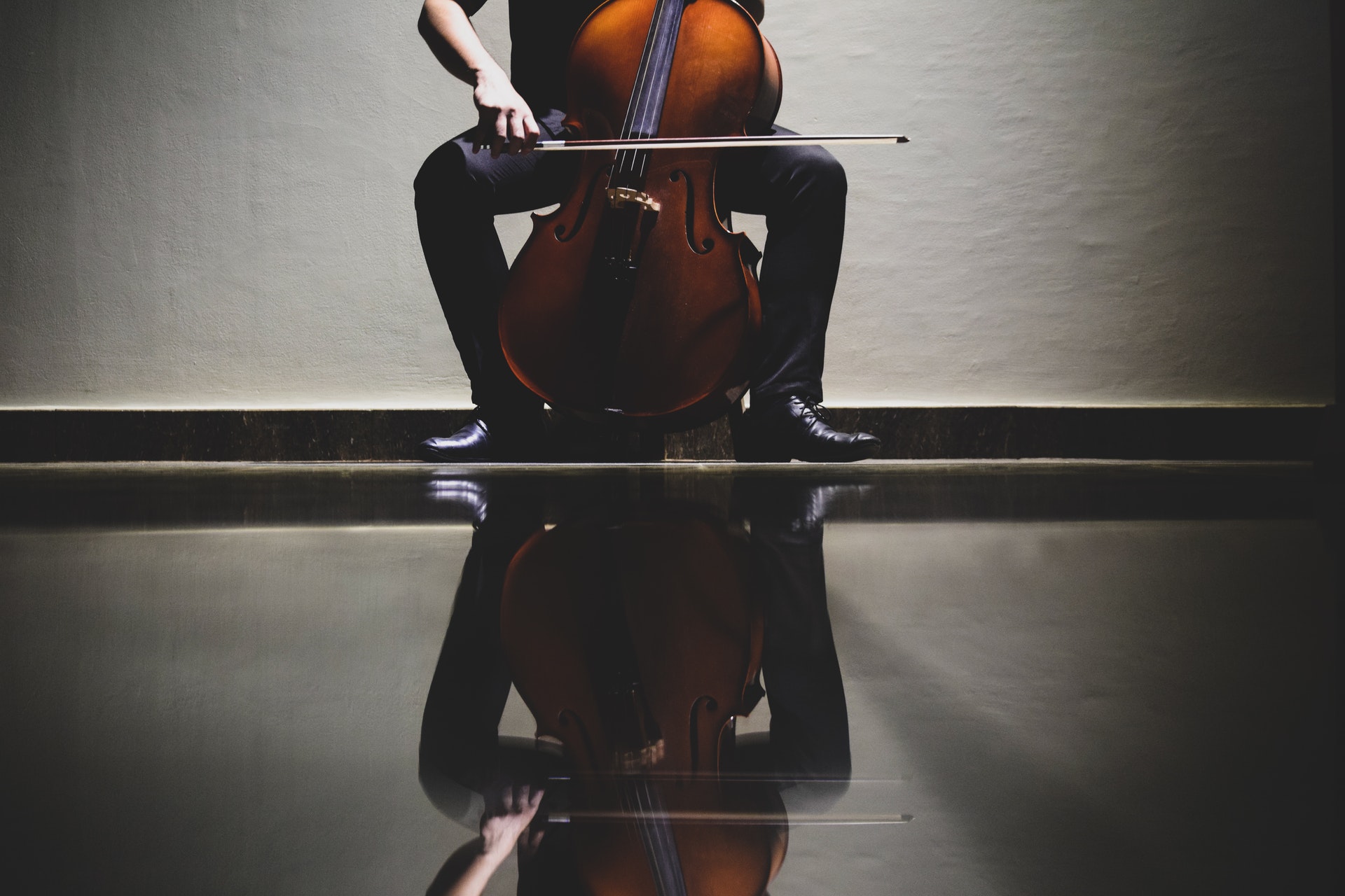 What’s the Difference Between a Cello and Double Bass?