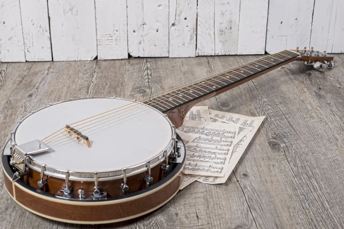 Best Banjos For Beginners
